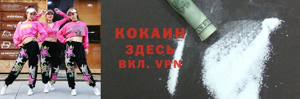 шишки Белокуриха