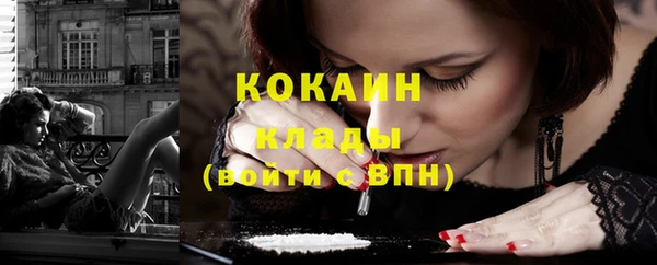 шишки Белокуриха
