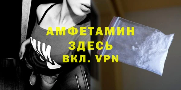 шишки Белокуриха