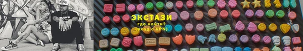 шишки Белокуриха
