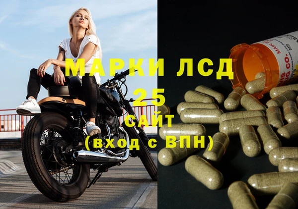 шишки Белокуриха