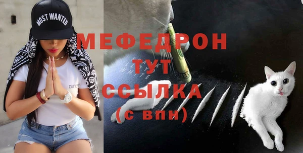твердый Богородицк